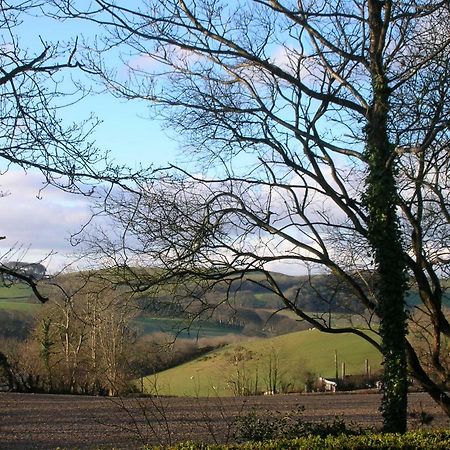 Fernlea Homestay Aberystwyth Luaran gambar