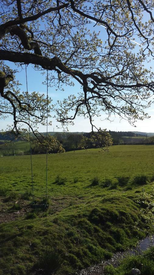 Fernlea Homestay Aberystwyth Luaran gambar